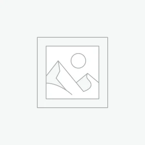 Store Boncellensis Secullant